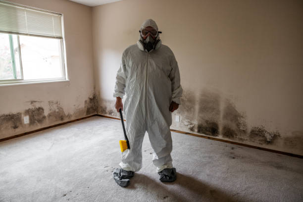 Best Mold Remediation for Schools in Manti, UT